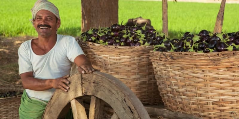 Agriculture Services