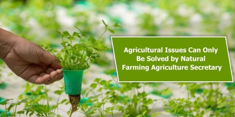 Agricultural Initiative News